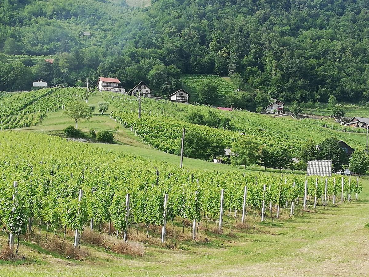 Grobelnik Tourist Farm Βίλα Sevnica Εξωτερικό φωτογραφία
