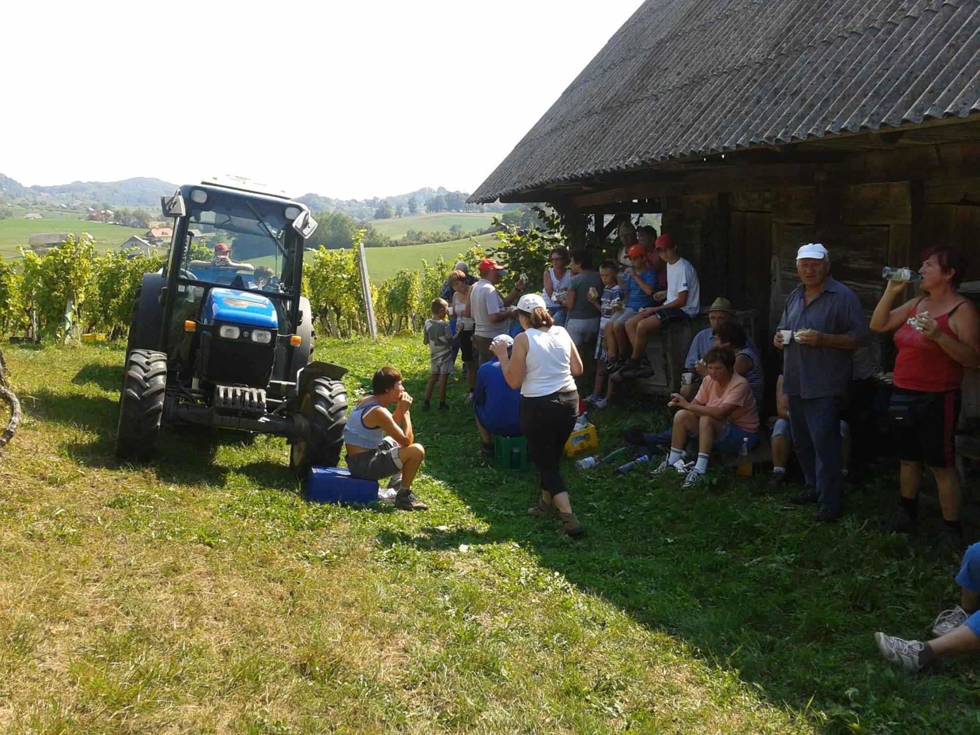 Grobelnik Tourist Farm Βίλα Sevnica Εξωτερικό φωτογραφία