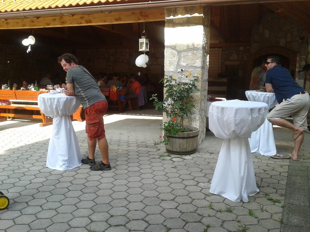 Grobelnik Tourist Farm Βίλα Sevnica Εξωτερικό φωτογραφία