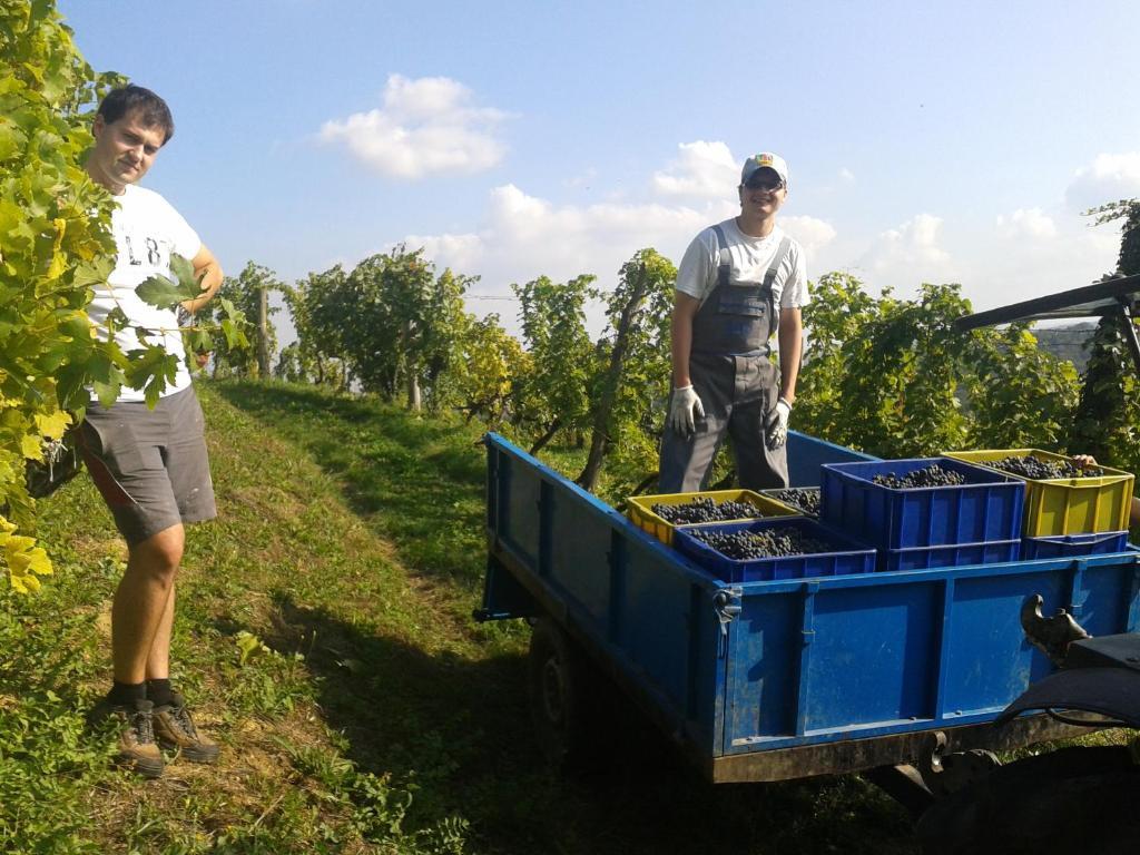 Grobelnik Tourist Farm Βίλα Sevnica Εξωτερικό φωτογραφία