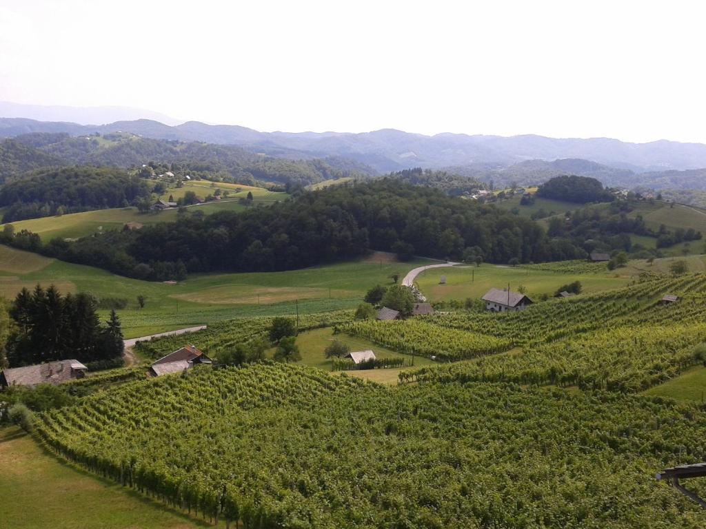 Grobelnik Tourist Farm Βίλα Sevnica Εξωτερικό φωτογραφία